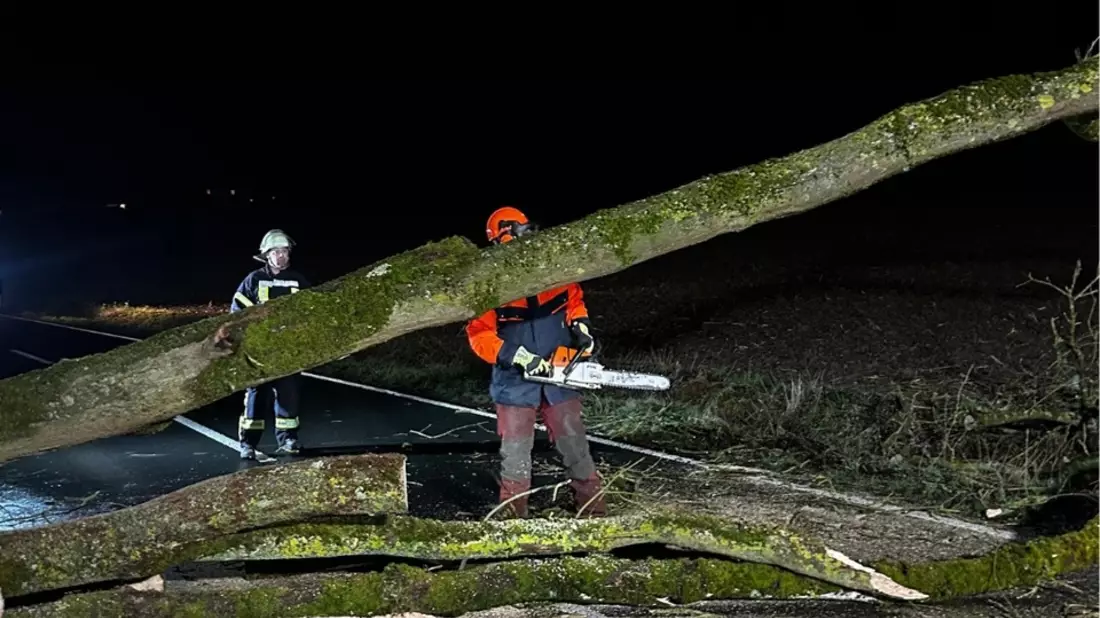 FW Ense: Baum auf Fahrbahn - Bild: presseportal.de