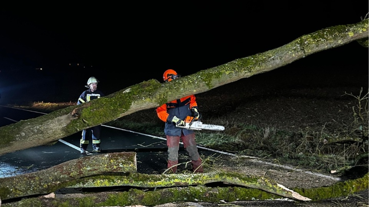 FW Ense: Baum auf Fahrbahn - Foto: presseportal.de