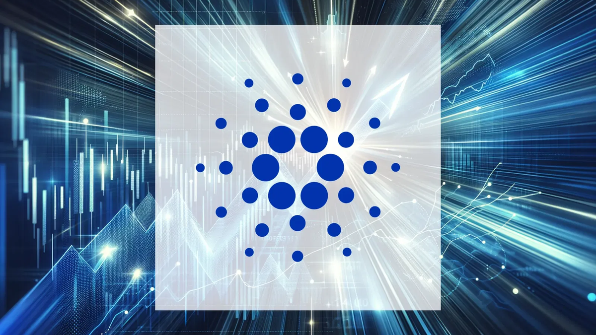 Cardano's Deep-Pocketed Investors Defy Market Caution - Foto: über boerse-global.de