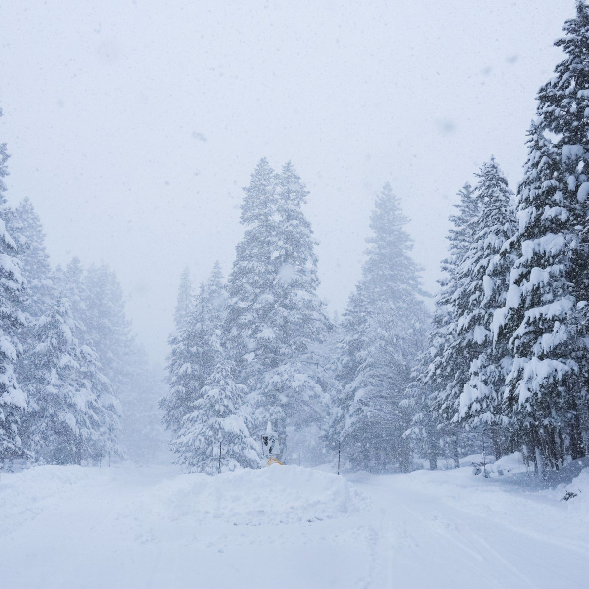 In Kalifornien ist viel Schnee gefallen. - Foto: Brooke Hess-Homeier/AP/dpa
