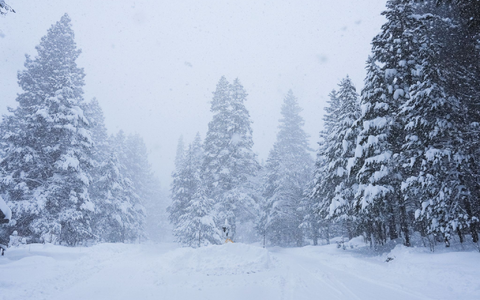 In Kalifornien ist viel Schnee gefallen. - Foto: Brooke Hess-Homeier/AP/dpa