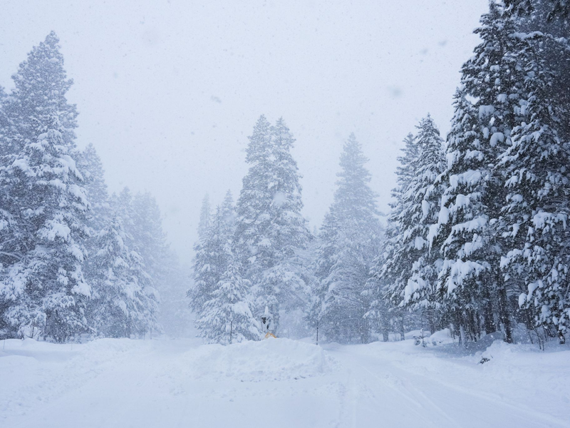 In Kalifornien ist viel Schnee gefallen. - Foto: Brooke Hess-Homeier/AP/dpa