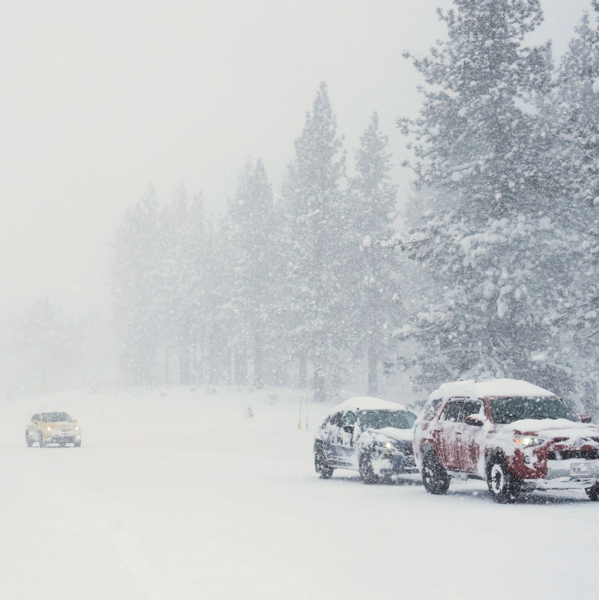 In Kalifornien ist viel Schnee gefallen. - Foto: Brooke Hess-Homeier/AP/dpa