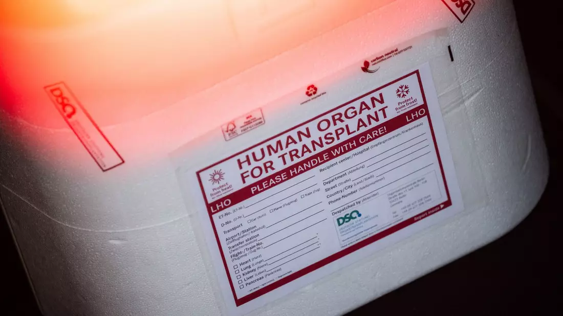 Die Ersatzorgane werden in einer Kühlbox transportiert. (Symbolbild) - Bild: Sebastian Gollnow/dpa