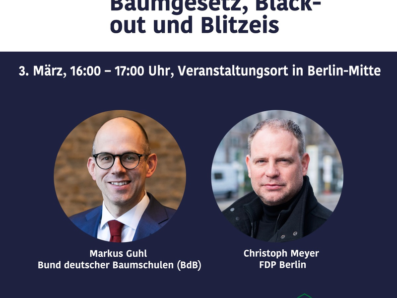 Einladung: berlinbubble Debatte Baumgesetz, Blackout und Blitzeis - Foto: presseportal.de