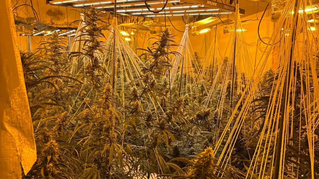 POL-CUX: Wohnungsbrand in Mehrparteienhaus in Stotel - Ein Anwohner schwer verletzt - Rettungshubschrauber im Einsatz - Gebäudebegehung bringt Cannabis-Plantage ans Licht (Foto im Anhang) - Bild: presseportal.de