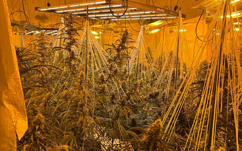 POL-CUX: Wohnungsbrand in Mehrparteienhaus in Stotel - Ein Anwohner schwer verletzt - Rettungshubschrauber im Einsatz - Gebäudebegehung bringt Cannabis-Plantage ans Licht (Foto im Anhang) - Foto: presseportal.de