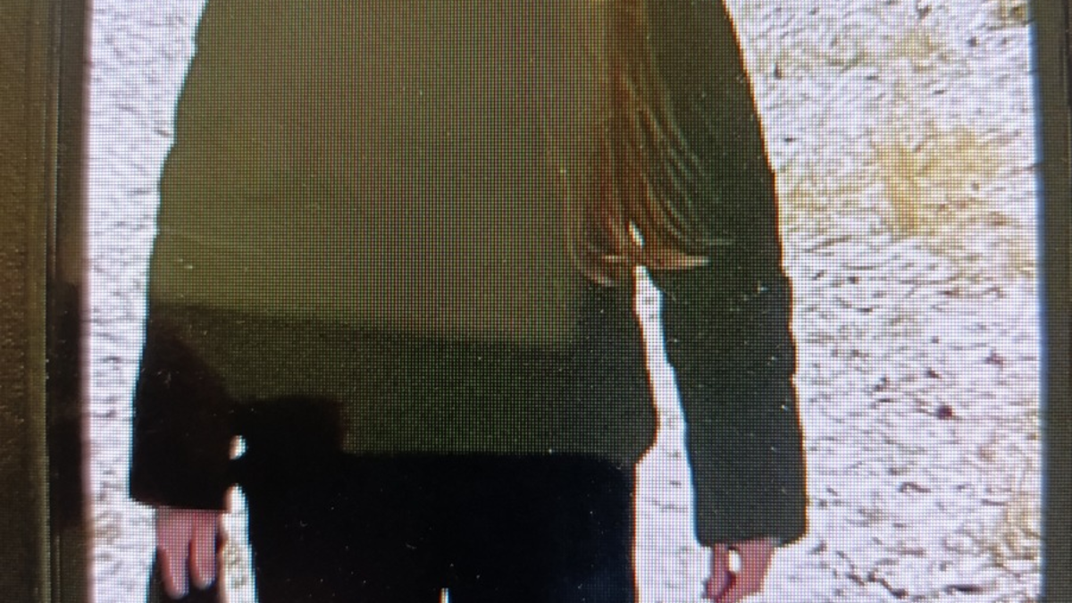 LPI-J: Suche nach 16-jährigem Mädchen in Jena - Foto: presseportal.de