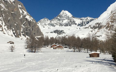 Die Frau erfror knapp unterhalb des Gipfels. (Archivbild) - Foto: Joachim Hauck/dpa