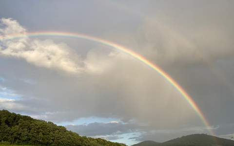 Auf dem Petersberg bei Bonn wurden früher die Gäste der Bundesregierung untergebracht - die Bonner Republik wird in der Rückschau oft verklärt. (Archivbild) - Foto: Federico Gambarini/dpa