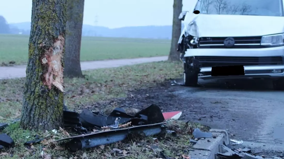 POL-MI: Autofahrer kracht gegen Straßenbaum - Bild: presseportal.de