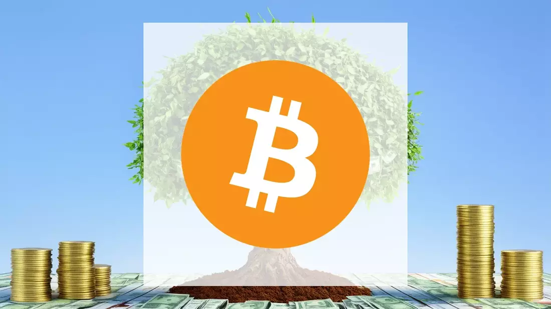 Bitcoin: La retirada institucional enciende las alarmas - Bild: über boerse-global.de