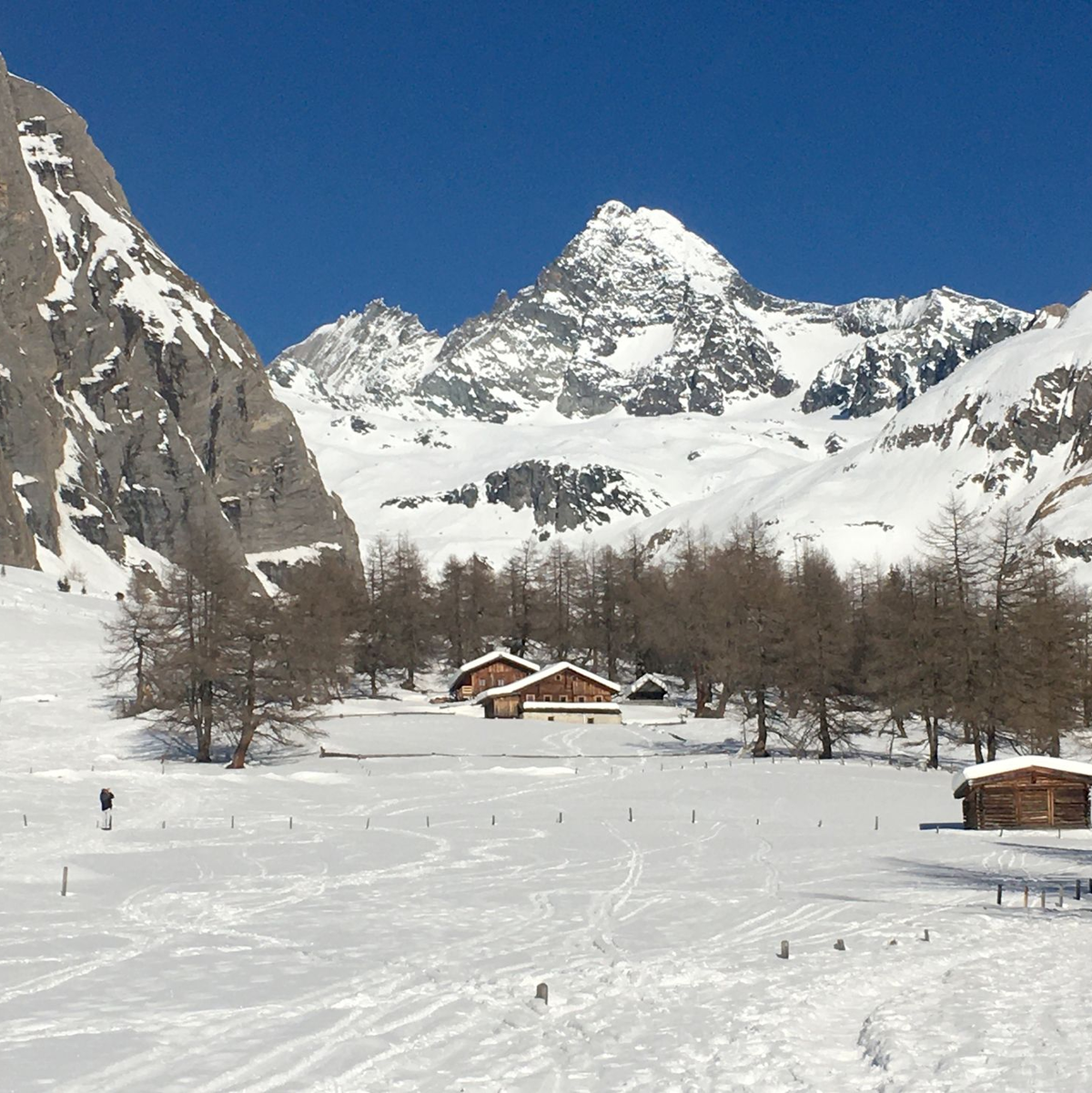Die Frau erfor knapp unterhalb des Gipfels. (Archivbild) - Foto: Joachim Hauck/dpa