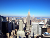 Foresta Group Aktie: Projektstart rückt näher - Foto: über boerse-global.de