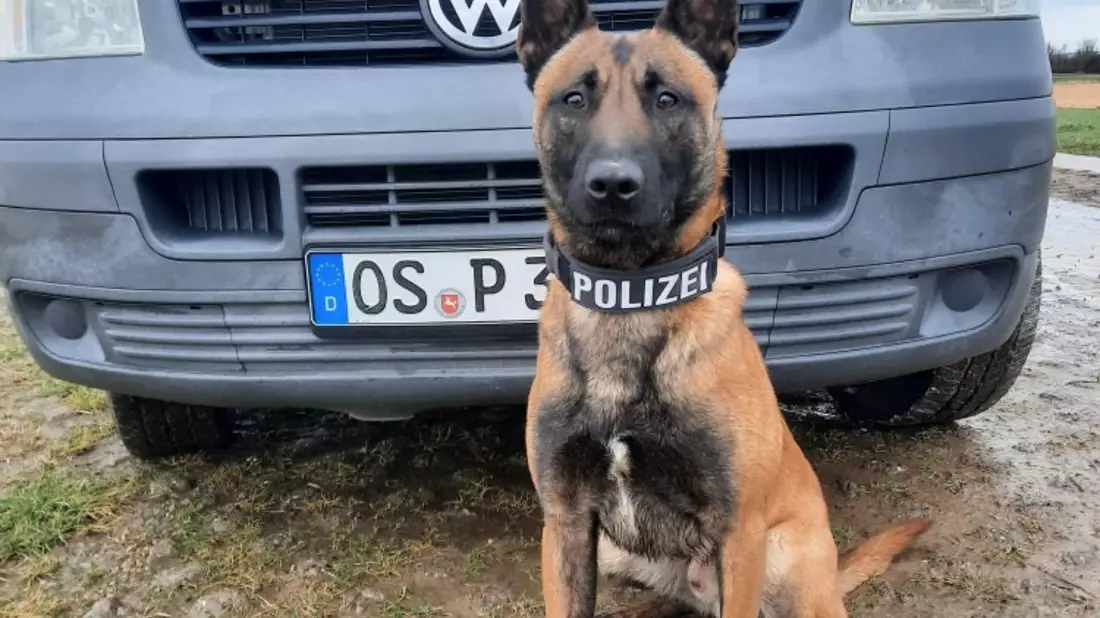 POL-OS: Osnabrück/Georgsmarienhütte/Hagen a.T.W.: Spektakulärer Ermittlungserfolg - Polizei deckt Heroinhandel in der Osnabrücker Innenstadt auf - Über 20 Abnehmer identifiziert - 46-Jähriger in U-Haft - Bild: presseportal.de