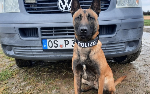 POL-OS: Osnabrück/Georgsmarienhütte/Hagen a.T.W.: Spektakulärer Ermittlungserfolg - Polizei deckt Heroinhandel in der Osnabrücker Innenstadt auf - Über 20 Abnehmer identifiziert - 46-Jähriger in U-Haft - Foto: presseportal.de