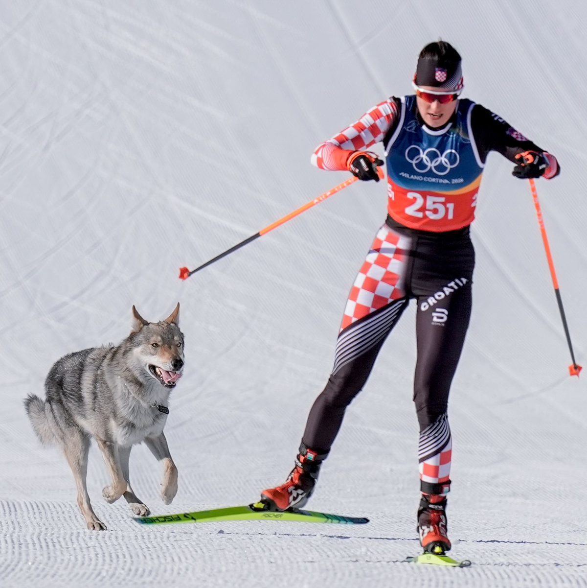 Ein Hund auf Abwegen sorgte für kuriose Szenen beim Langlauf. - Foto: Terje Pedersen/NTB/dpa