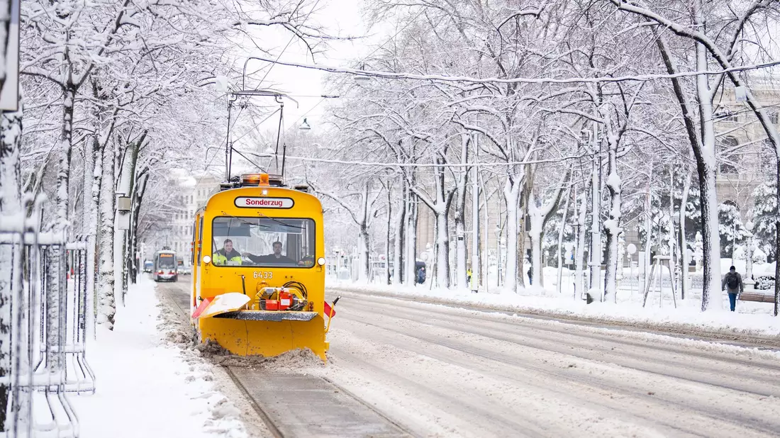 Die Straßen in Wien präsentieren sich weiß. - Bild: Georg Hochmuth/APA/dpa