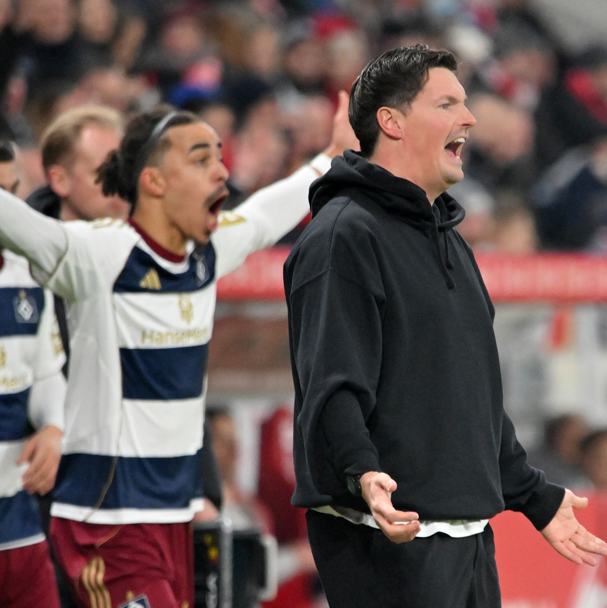 Haderte mit dem Schiedsrichter: HSV-Trainer Merlin Polzin. - Foto: Torsten Silz/dpa