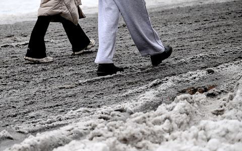 Nach Wochen mit Matsch und Kälte haben viele genug vom Winter. - Foto: Britta Pedersen/dpa