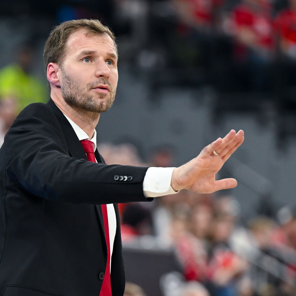 Anton Gavel und die Bamberger Basketballer schafften eine große Überraschung. - Foto: Sven Hoppe/dpa