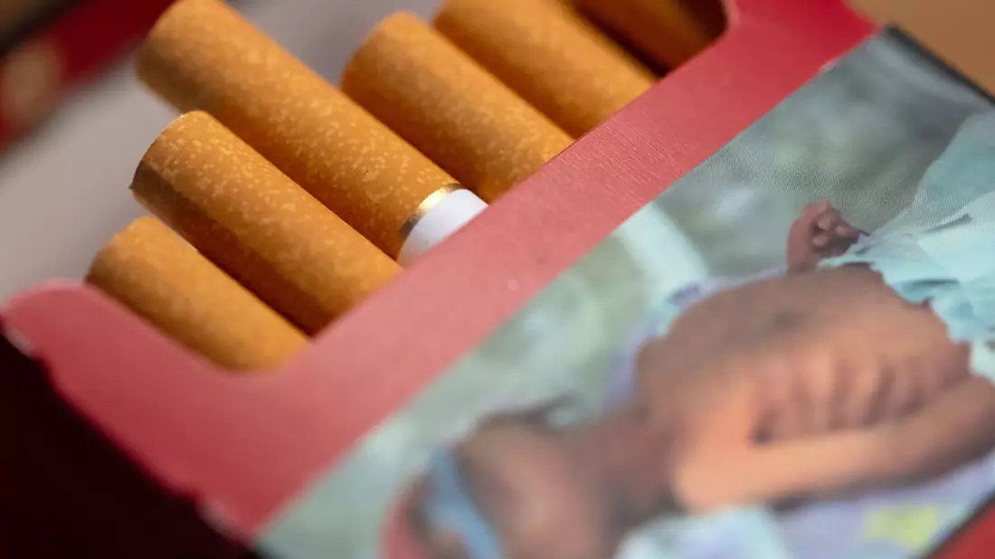 Haben sich die Hoffnungen bestätigt? Ganz nutzlos scheinen die warnenden Hinweise zumindest nicht zu sein. (Symbolbild) - Bild: Sven Hoppe/dpa