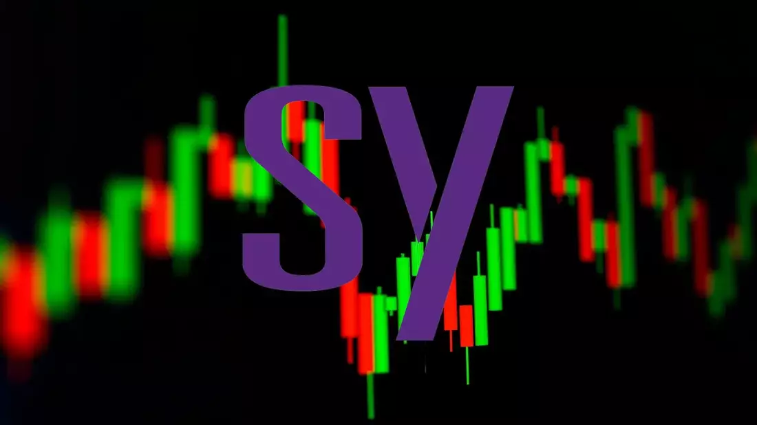 Synopsys: Un Ejercicio de Transición a la Vista - Bild: über boerse-global.de