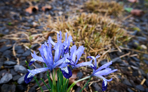Die Temperaturen klettern in den nächsten Tagen in die Höhe. - Foto: Sascha Ditscher/dpa
