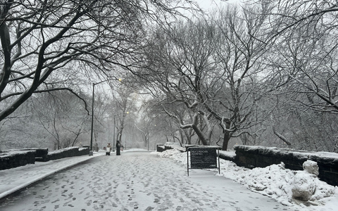 In New York legt der viele Schnee das öffentliche Leben lahm. - Foto: Christina Horsten/dpa
