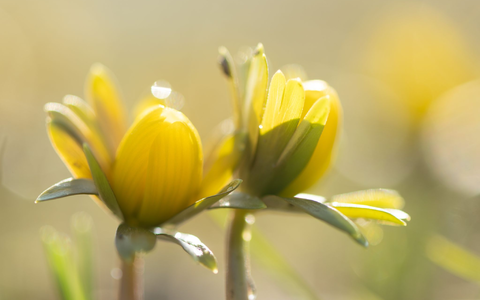 Manche Menschen reagieren stärker als andere auf Wetteränderungen. (Symbolbild) - Foto: Sebastian Kahnert/dpa