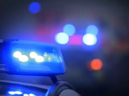 Polizisten fanden die vier Leichen am Freitagabend. (Symbolbild) - Foto: Karl-Josef Hildenbrand/dpa