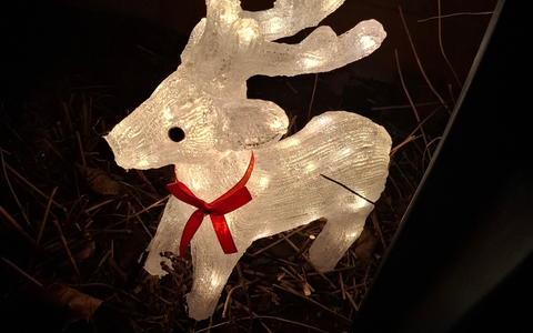 POL-NB: Fahndung nach Schneemann - Foto: presseportal.de