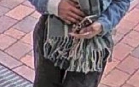 POL-EL: Emlichheim - Öffentlichkeitsfahndung nach Computerbetrug - Wer kennt diese Person? - Foto: presseportal.de