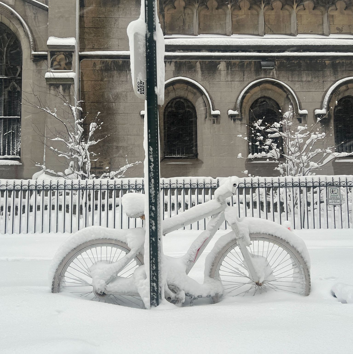 Im New York wurden zum Teil über 38 Zentimeter Neuschnee gemessen. - Foto: Christina Horsten/dpa