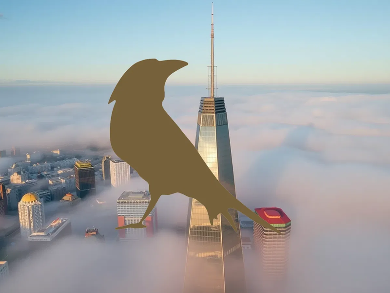 Becle Aktie: Warten auf Zahlen - Foto: über boerse-global.de