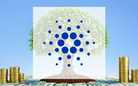 Cardano Rompe su Aislamiento: Alianza Estratégica y Apoyo Institucional Marcán su Rumbo - Foto: über boerse-global.de