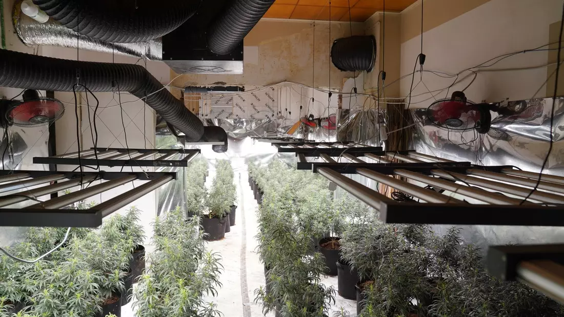 POL-GE: Cannabisplantage in leerstehendem Mehrfamilienhaus entdeckt - Bild: presseportal.de