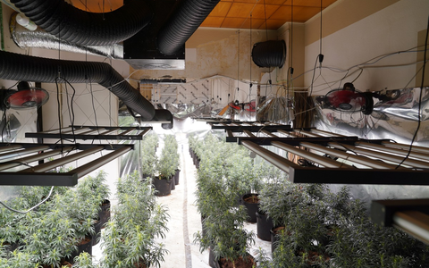 POL-GE: Cannabisplantage in leerstehendem Mehrfamilienhaus entdeckt - Foto: presseportal.de