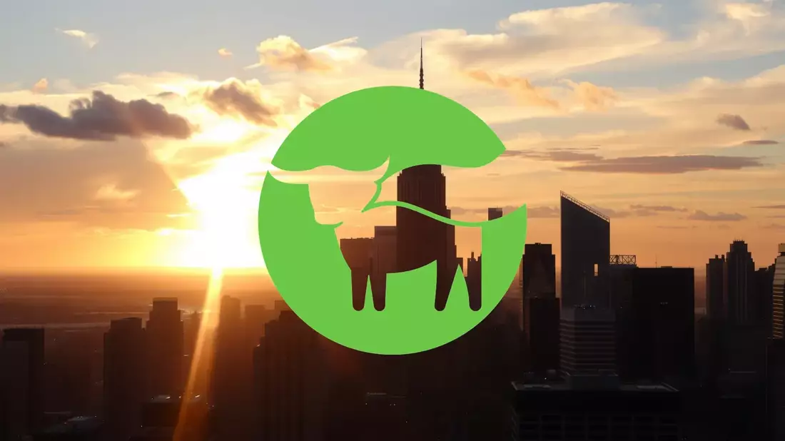 Beyond Meat Faces Critical Juncture Amid Legal and Financial Pressures - Bild: über boerse-global.de