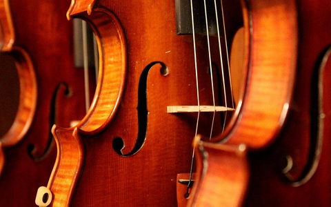 Geigen (Archiv) - Foto: via dts Nachrichtenagentur