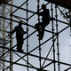 Arbeiter auf der Baustelle: Die Branche dürfte 2026 nach Jahren der Krise wieder wachsen (Archivbild) - Foto: Jan Woitas/dpa