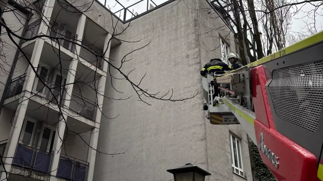 FW-M: Schwan auf Abwegen (Schwabing) - Bild: presseportal.de