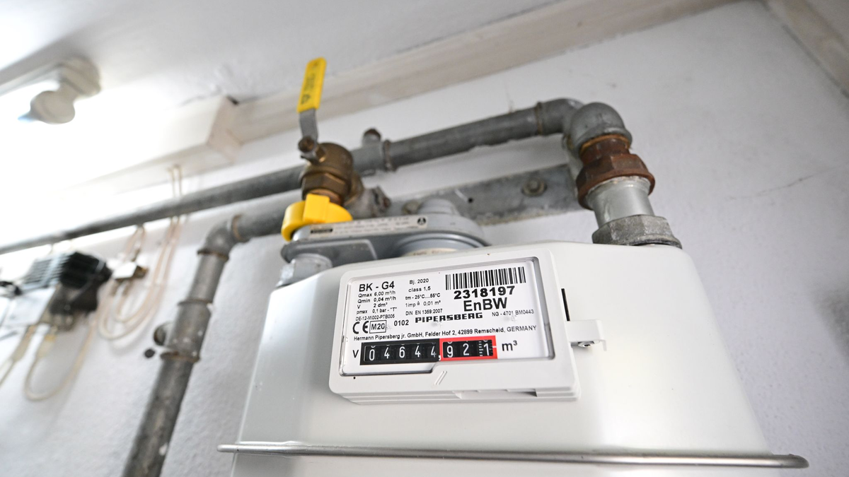 Wer mit Biogas heizt, muss laut Verivox tiefer in die Tasche greifen. (Archivbild) - Foto: Bernd Weißbrod/dpa