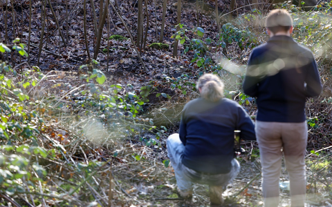 In diesem Waldstück in Duisburg wurde die Leiche einer Frau gefunden. - Foto: Christoph Reichwein/dpa