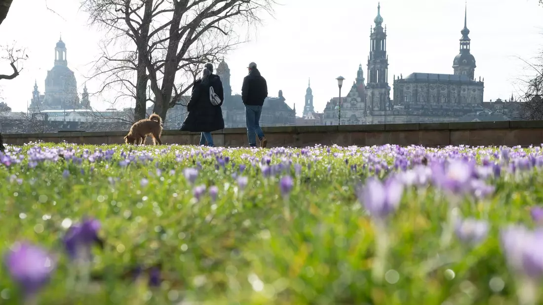 Frühlingshaftes Wetter kündigt sich schon vor dem meteorologischen Frühlingsbeginn am 1. März an. - Bild: Sebastian Kahnert/dpa