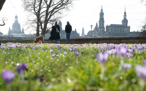Frühlingshaftes Wetter kündigt sich schon vor dem meteorologischen Frühlingsbeginn am 1. März an. - Foto: Sebastian Kahnert/dpa