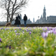 Frühlingshaftes Wetter kündigt sich schon vor dem meteorologischen Frühlingsbeginn am 1. März an. - Foto: Sebastian Kahnert/dpa