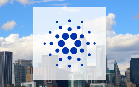 Cardano: Acumulación institucional frente a la presión bajista - Foto: über boerse-global.de