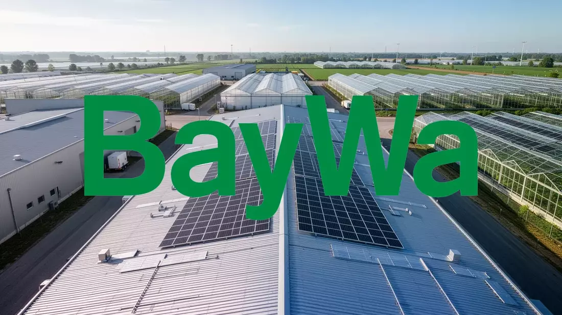 BayWa Aktie: Schuldenabbau beschleunigt - Bild: über boerse-global.de