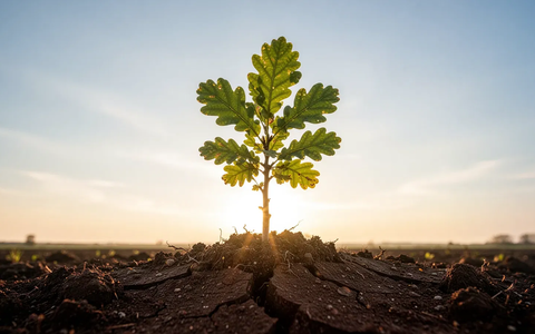 EU setzt Schwerpunkt auf psychische Gesundheit von Jugendlichen - Foto: über boerse-global.de
